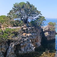 gallery picture four